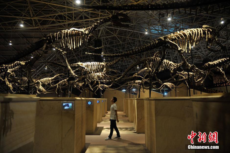 »٪زзֵǻ֡»̹ŵ