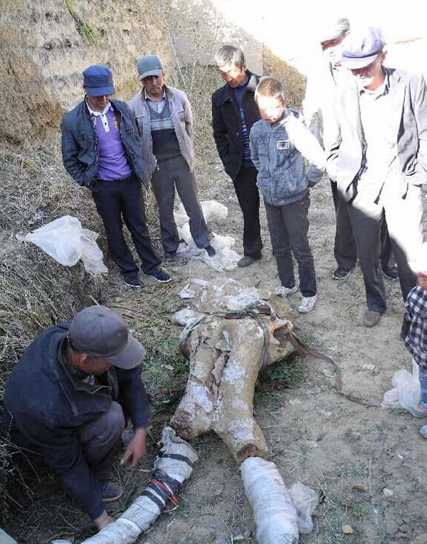 �ຣʡ���ϲ����������ڳ�ʷǰ����ͷ�ǻ�ʯ