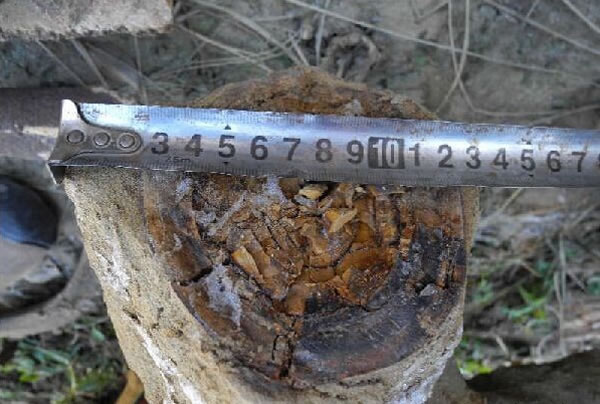 �ຣʡ���ϲ����������ڳ�ʷǰ����ͷ�ǻ�ʯ