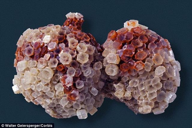 美国耶鲁大学科学家发现地下20公里处存在1亿年前微生物存活迹象