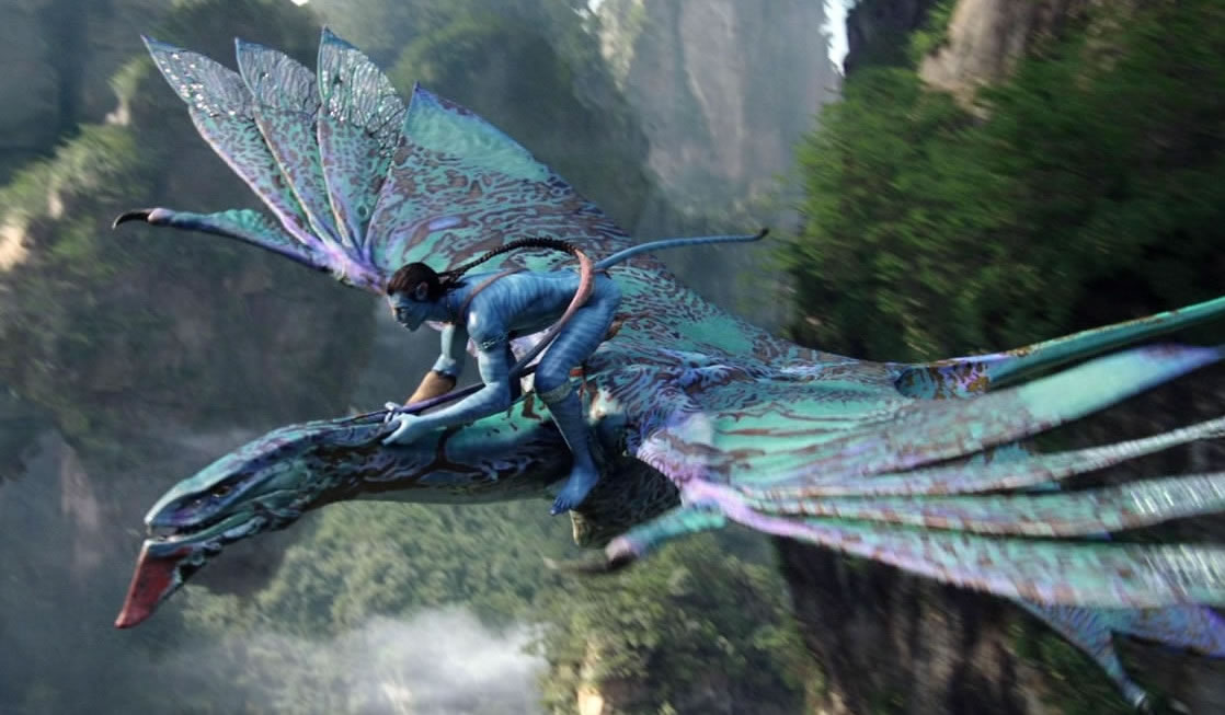 ��Ӱ��������е�������