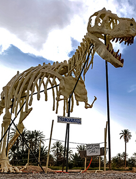 ��Ħ��綫��ƫԶɳĮ�����Ĵ������������У����޳���ľ������չ���һ��������ʧ��ϡ���䱦������ѧ�ҺͿ���ѧ�ҽ��õ�����Ϊ��ȫ������¶�컯ʯ����ݡ���ͼΪ��Ħ��