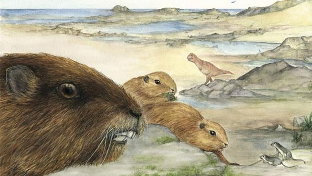 ���ֹ��ϵĲ��鶯���������ͬ������6600���굽7200����ĸ����ɴ�½��