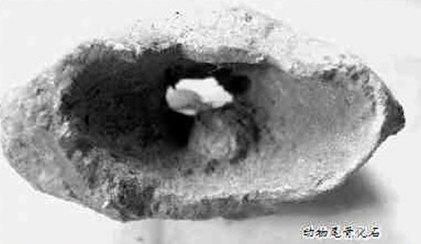 ƽ�ط��־��Լ20����ľ�ʯ��ʱ��������ַ