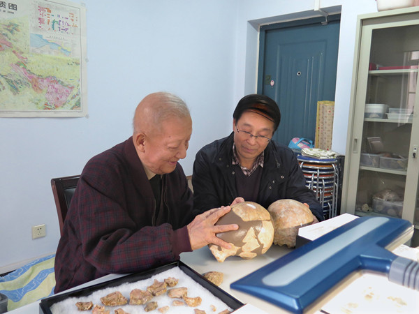 ������Ժʿ�۲�������ͷ�ǻ�ʯ����Ϊ�����˷�������ռ���о�Ա