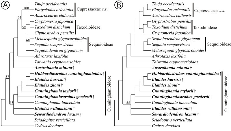 ���������ͻ�ʯ��Ⱥ�İؿ�ϵͳ������