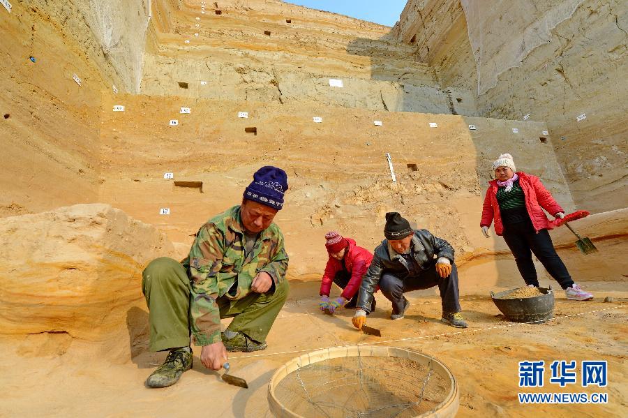 11��19�գ�������Ա�ڿ����ֳ���������������