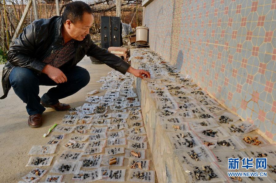 11��19�գ����Ź������������������