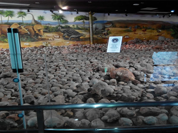 ��Դ��������ݹݲص�1.6���ö������