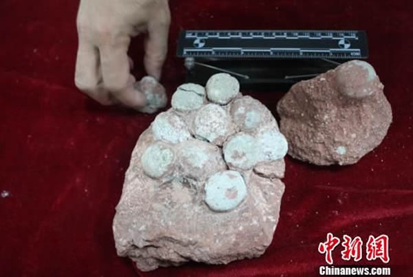 ��Դ�ɷ��ִ�С�����ȵ�һ������������