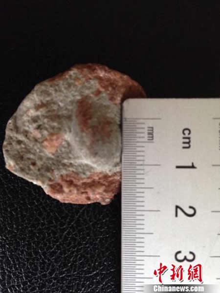 该批蛋类化石是河源市目前发现的个头最小的蛋类化石,直径最大不超过2厘米,最小仅1.5厘米,大小仅有鹌鹑蛋的一半。