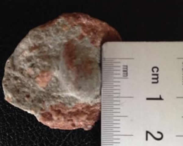 ��Դ�·��ֵ����䵰�໯ʯ���͵��п�Ժ����ɨ��