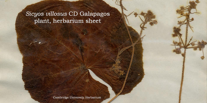 ����Ľ����۲����ͷ�չ���̵����ֵ�������