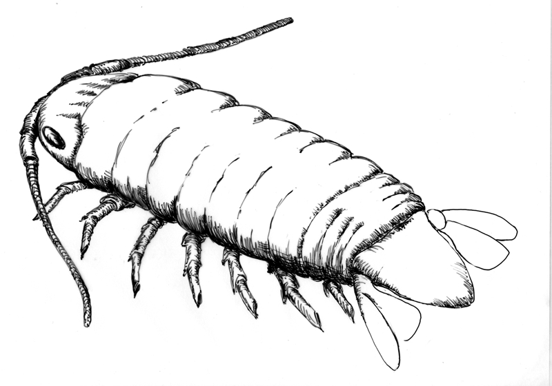 ��ͷˮʭ��ԭͼ