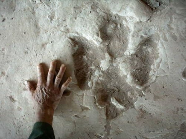 2007���뽭�����Ϸ��ֵ����ǿ����㼣