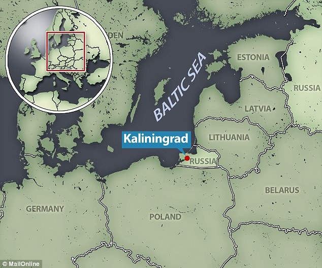 3500万年到4700万年前的波罗的海琥珀中发现肉食植物