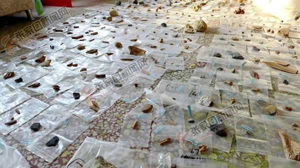 ���ѱ���ַ�ֳ���