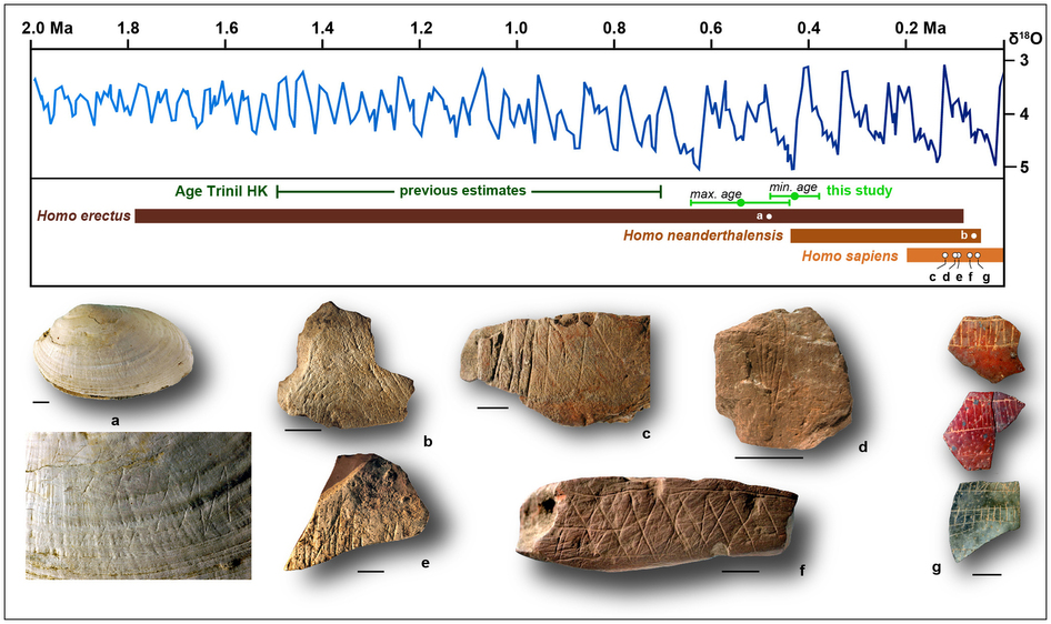ӡ��������50����ǰ�ı��ǻ�ʯ�Ϸ�����������ĵ��֤��