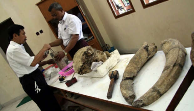 ӡ���������׶ȷ�������ĹŴ���Գ