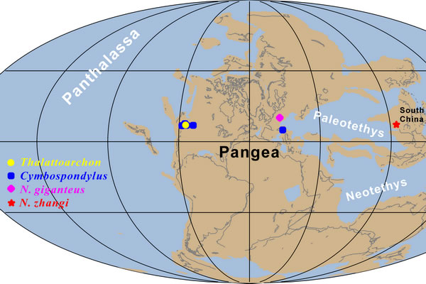 图四:巨型顶级捕食者在中三叠世全球海洋的分布图