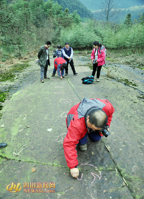 ר�����ڶ��������ʳ�����м������п���