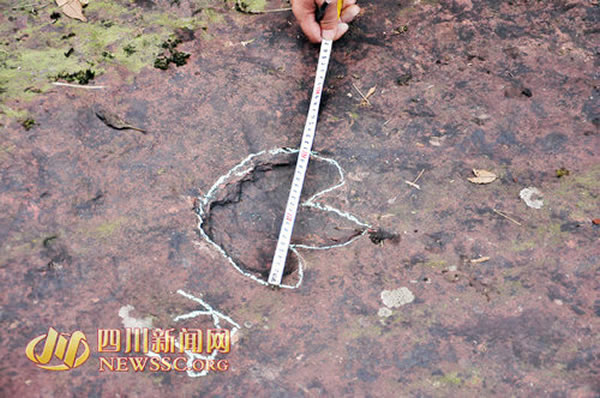 ����������ӡ��ʯ