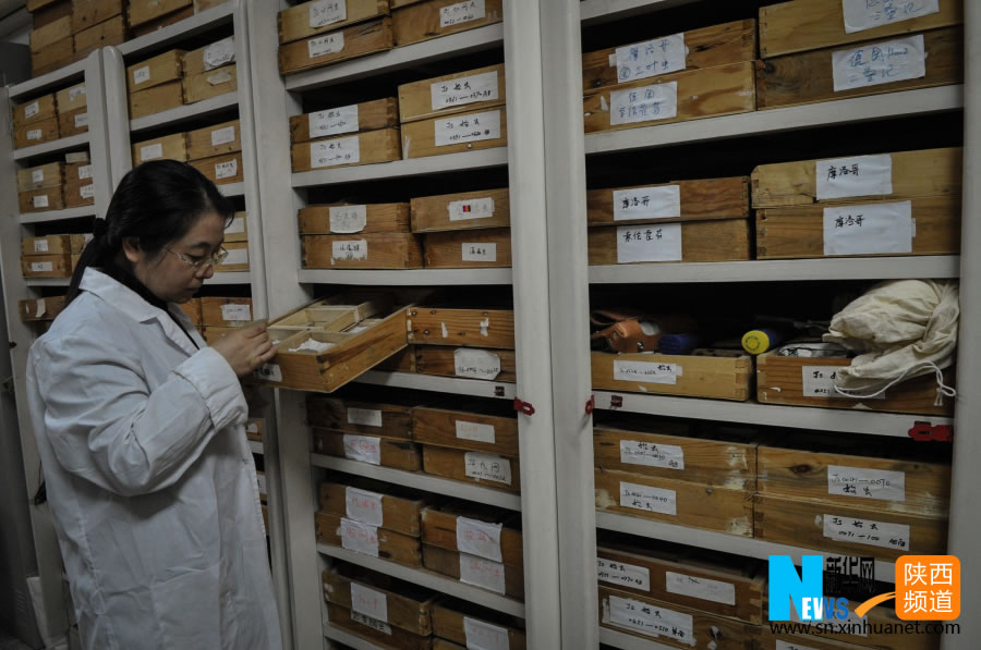 129գλʡеѧ칫ڣʯ