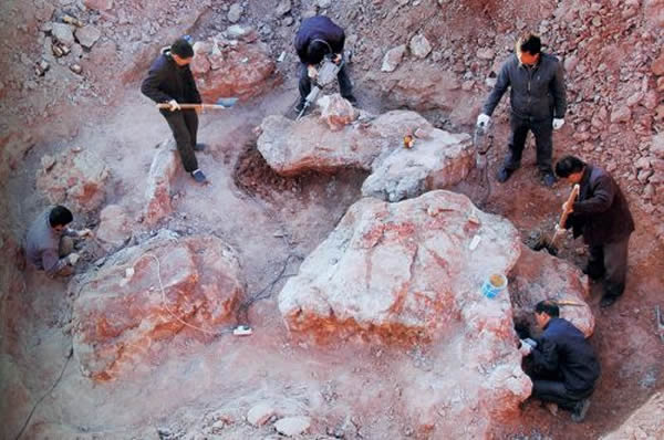 ��׵��ʯ�ھ��ֳ�