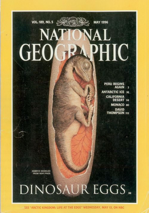 ��·�ױ��������ϡ��������ҵ�������־����