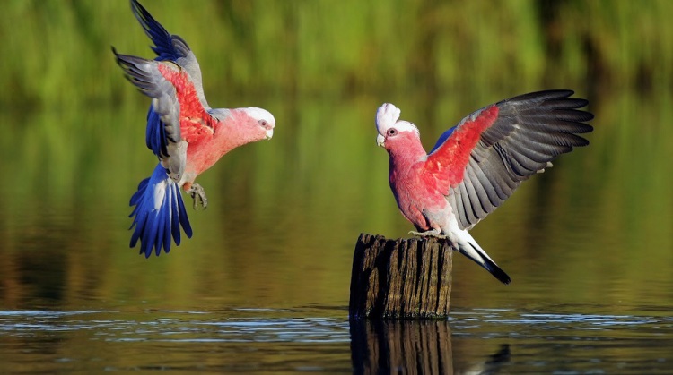 �µ�������ϵͼ���������ִ�������������ִ�����¼�����ٳ���