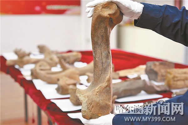 ������������һ������̨�����ͨ�ʼ������ڲ��26�������ﻯʯ