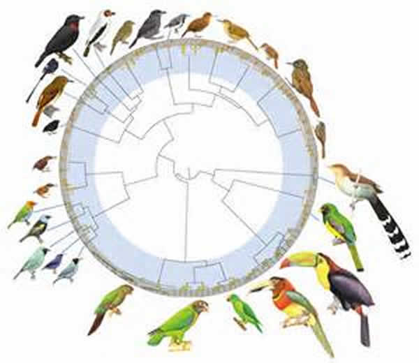 �о�����ʱ������ֵ�Ǩ��������������а��ݸ���Ҫ�Ľ�ɫ