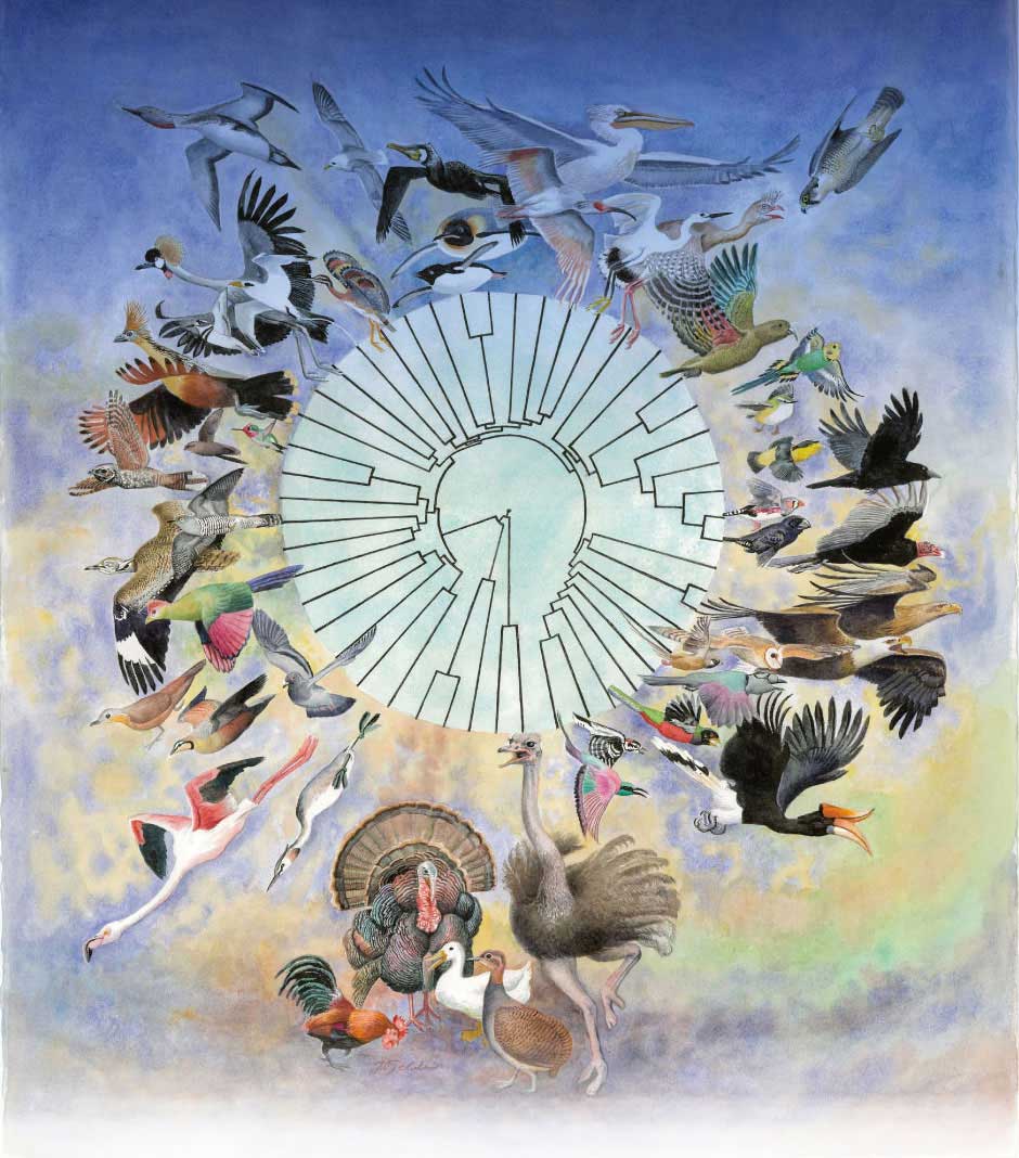 ������ɿ��������ݻ�������֮����