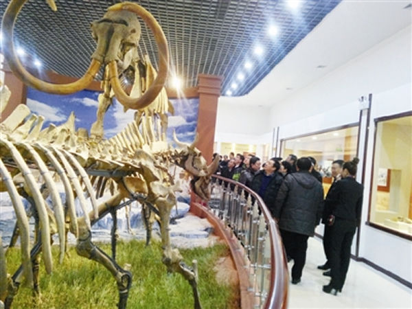 ������ʡ�绯������ص��ļ͹����ﻯʯ�������ʽ���ݲ����⿪��