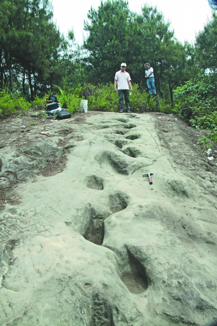 �Թ��и�˳������ɽ���֡�Ϭţ��ӡ����ԭ����2����ǰ�����������㼣��ʯ