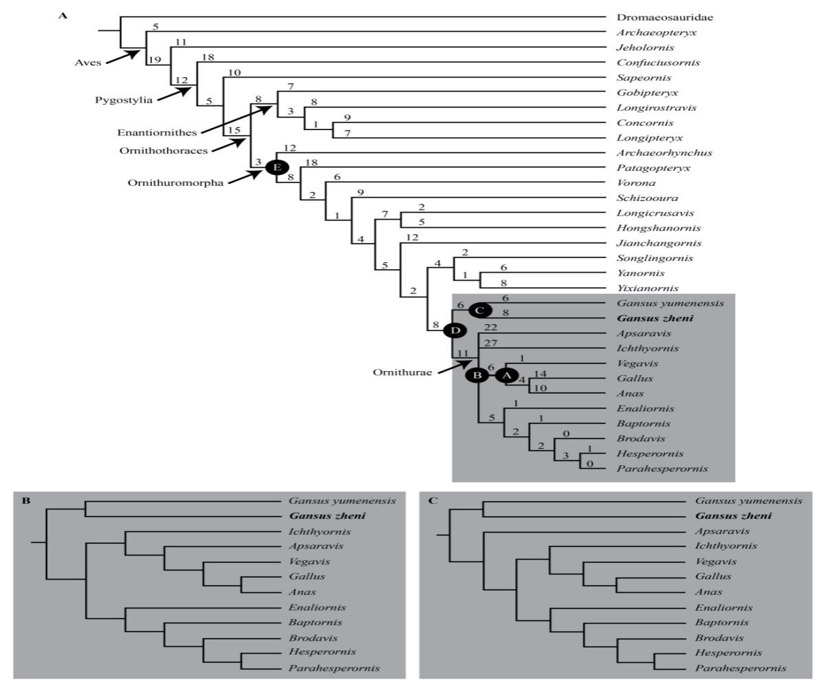 ���ϸ�����ϵͳ����λ��ͼ
