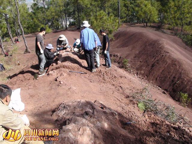 2014��12����Ѯ���ڻ������ϸ���һɽ���ֳ���ר�����ڶ���صĿ�����ʯ��������,�������Ĺ�����ͼ