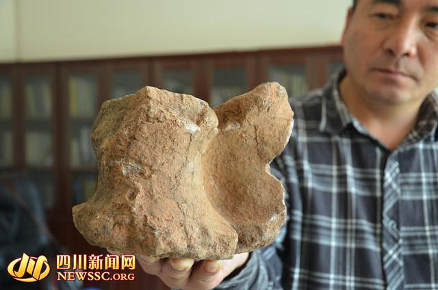 �����Ĺ������ղصĿ���������ʯ���ޱ�ƽ��