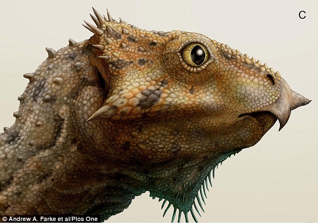 �������֣�Aquilops����ͷ�ǹǣ���Լ8.4���׳������к����Ե�ӥ���ǣ�����������м�ǻ��