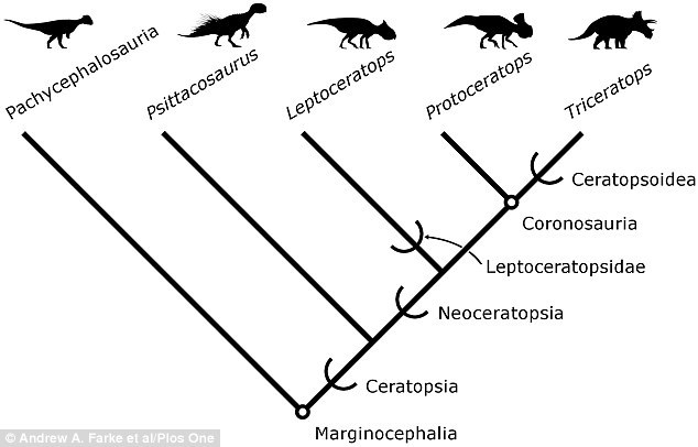 ��ʯ��¼�����нǿ��������޳��֣�����1.08����ǰ���������������ʱ������ɢ���������ٽ����Ͽ�ĵ����������˳Ծ����ǣ������о�ȴ�Ѱ������ִ��н���������������