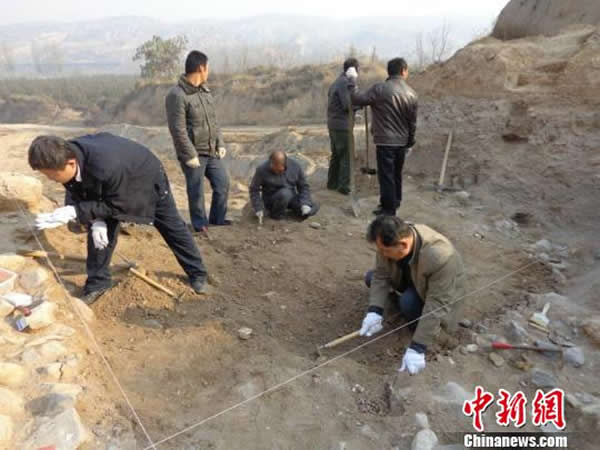 ������ַ�����Է����ֳ�