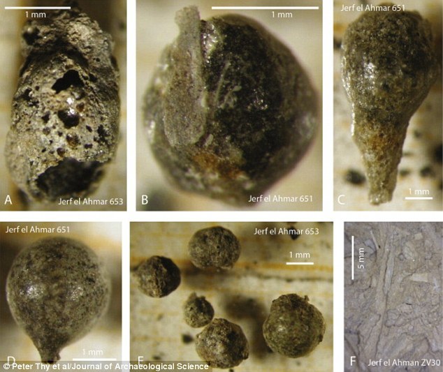 �о���Ա�������ǿ�����ַ�е�΢С�۵ν����˷������������Ǹ����������������Ĳ����ʯ��ʱ���������������������ն��γɵġ�