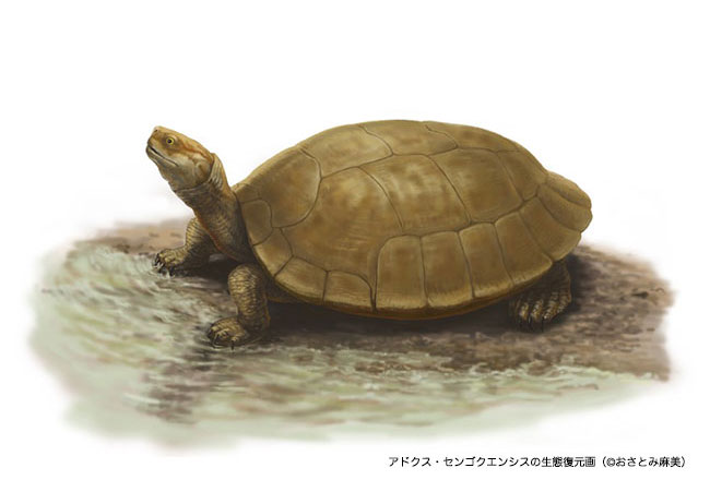 1.2����ǰ���ſ�˹�������֡�ǧʯϿ���ſ�˹�ꡱ��̬��ԭͼ