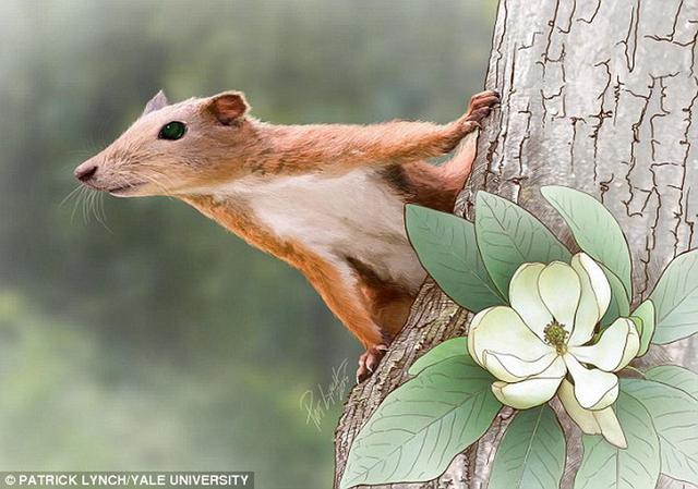 6500����ǰ�������鳤Ŀ�����������һ����������������ܲ��鶯��