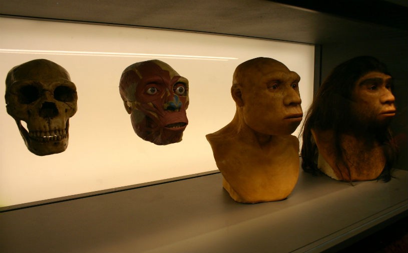 �й��������ֱ���Ϊchompers��δ֪�������ֻ�ʯ