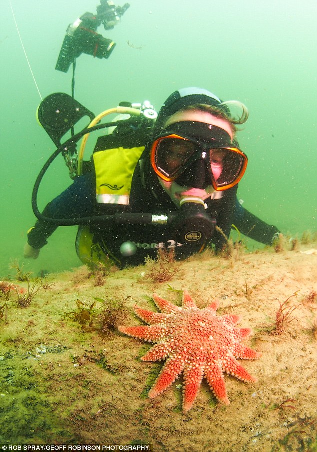 ����ɭ����Ӣ������Ǳˮ16�꣬���ƶԷ���ʷǰɭ�ָе��ǳ�������