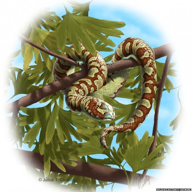 发现1.7亿年前的蛇类化石 拥有四条腿