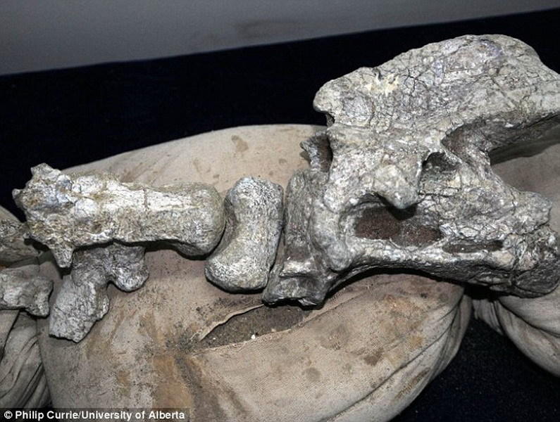 ���Ǿ޴��׵�ǻ�ʯ����Ϥ���뽭�������״α��ھ��ǽ�������ʩ��ʱ���ֵġ�