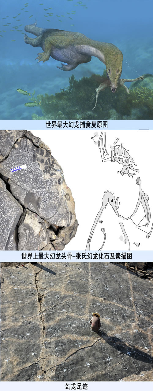 ��������������ͷ�Ǽ�ˮ����ʳ�㼣