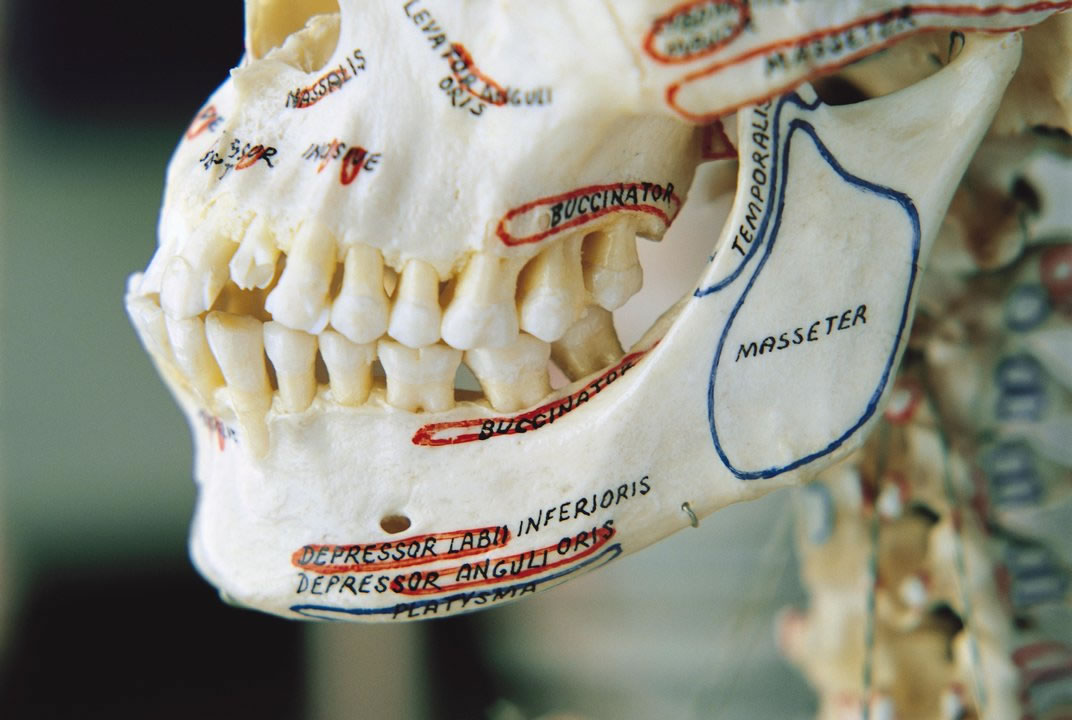 ũҵ�ĳ���ʹ�����������ɴ�׳�������